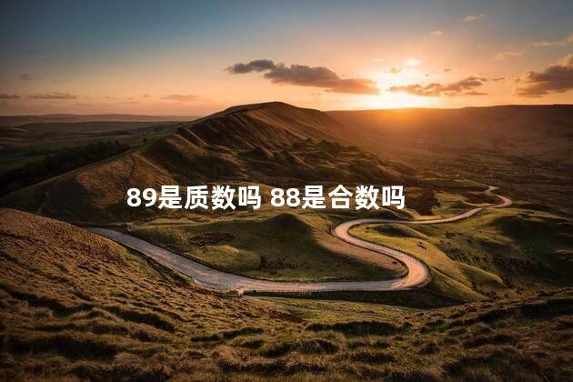 89是质数吗 88是合数吗